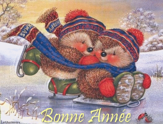 Bonne année
